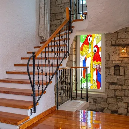 Fener Burnunda Denize Sifir Orjinaltas Malikane Villa